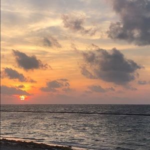 Meet your Posher, Pricilla